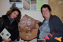 Santa Ninfa 19 11 2016 186.jpg